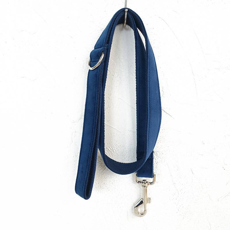 Dark Bleu Bow-Tie Traction Collar: Elegant