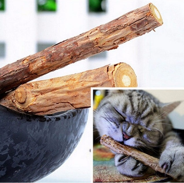 Matatabi Chew Sticks: Catnip Fun