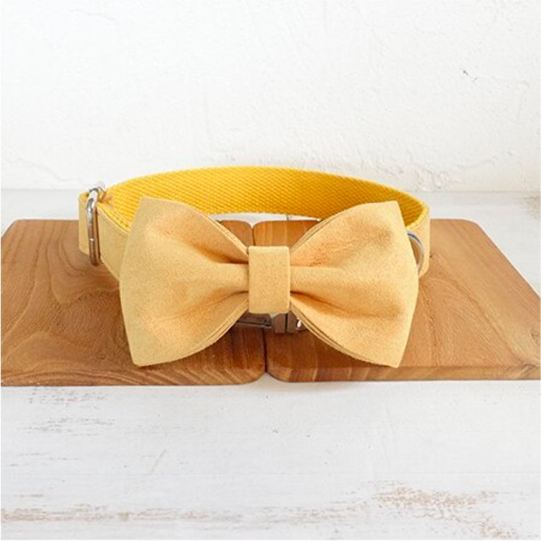 Yellow Bow-Tie Traction Collar: Joyous