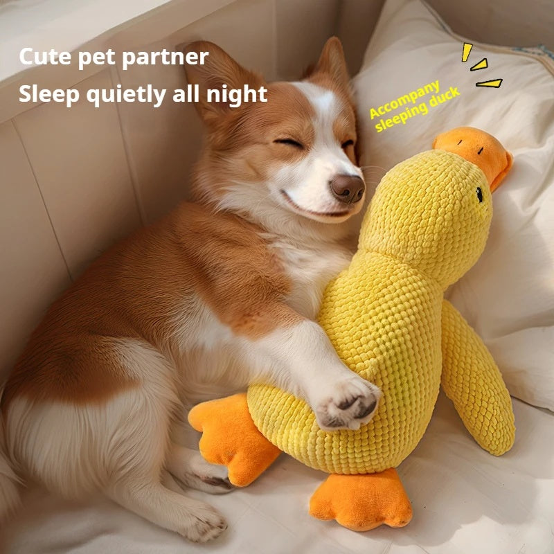 Calming Duck Plush — dog with toy
