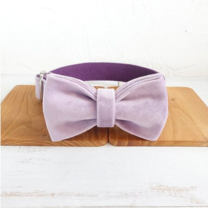 Light Purple Bow-Tie Traction Collar: Classy