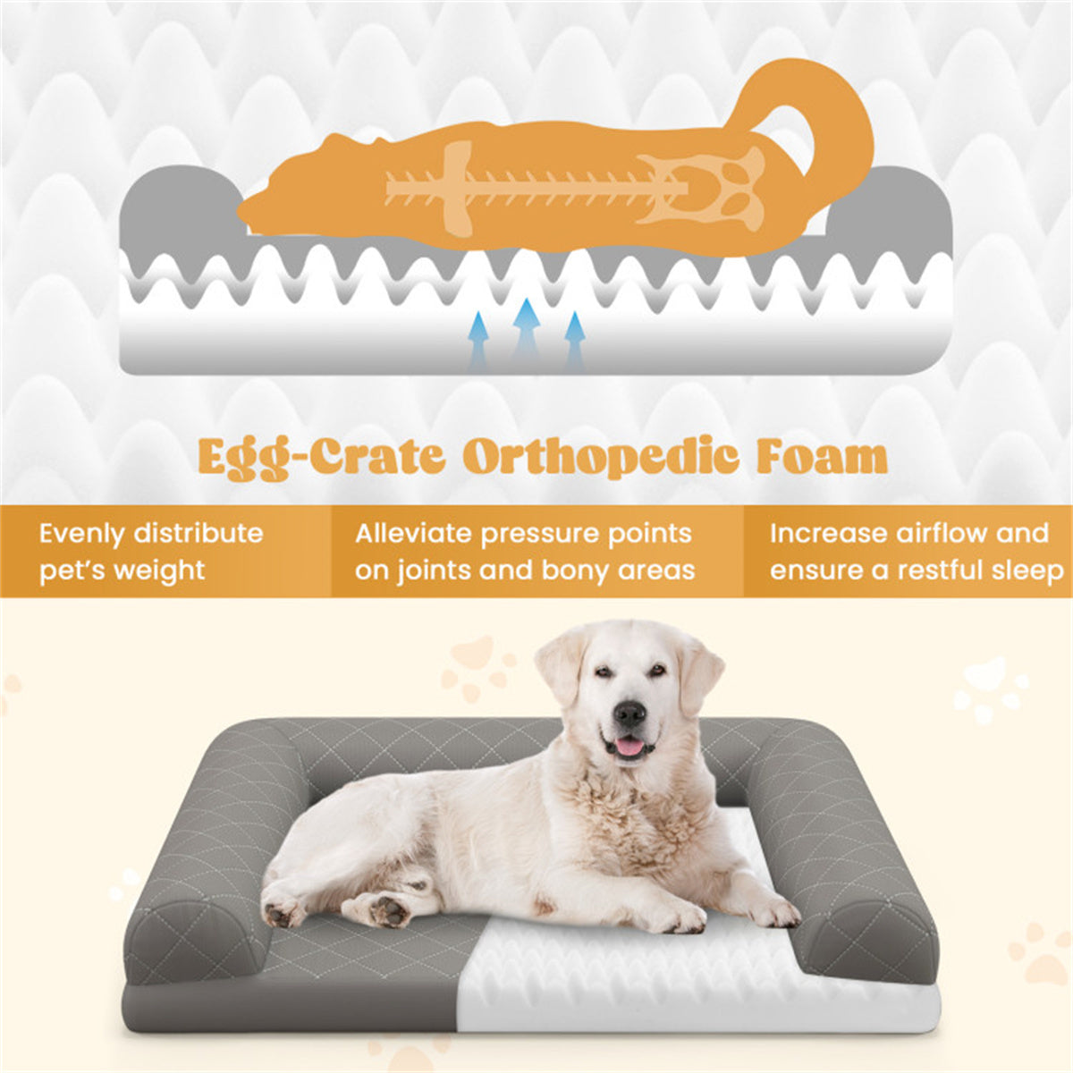 36" Orthopedic Dog Bed: Egg Foam with 3-Side Bolster