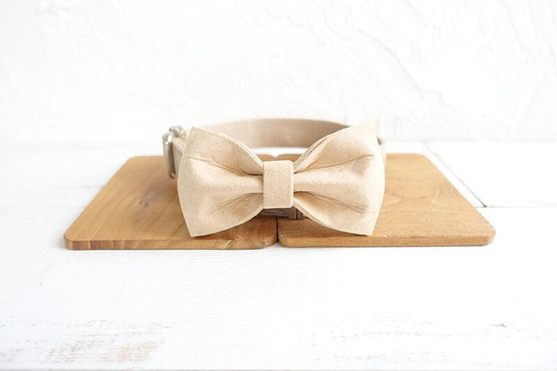 Nude Bow-Tie Traction Collar: Stylish