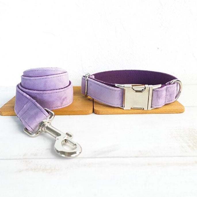 Light Purple Bow-Tie Traction Collar: Classy